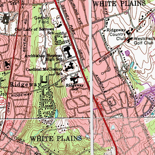Topographic Map of Ridgeway School, NY