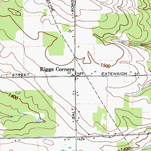 Topographic Map of Riggs Corners, NY
