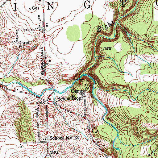 Topographic Map of Right Branch Cayuga Creek, NY