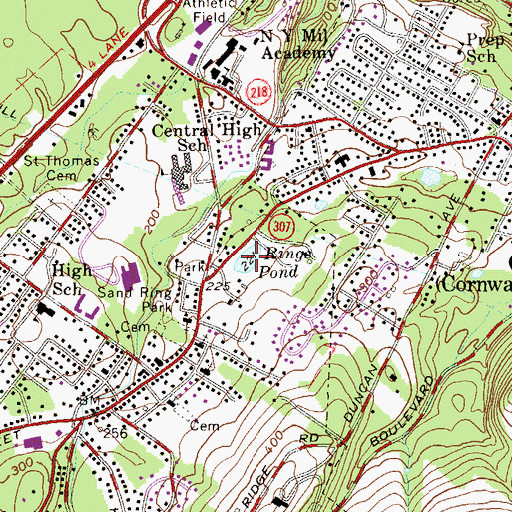 Topographic Map of Rings Pond, NY