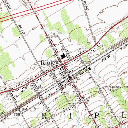 Topographic Map of Ripley, NY