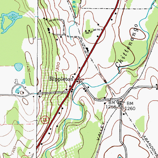 Topographic Map of Rippleton, NY