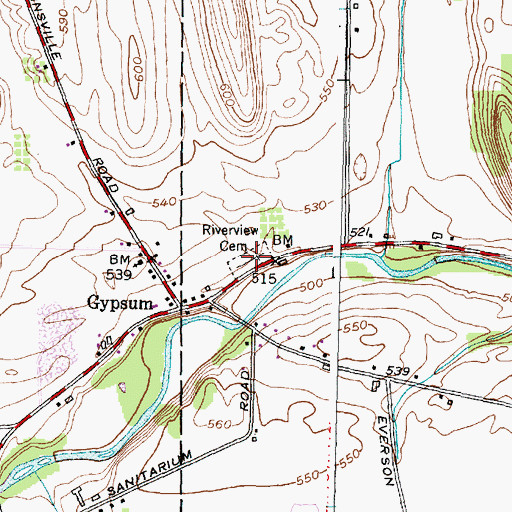 Topographic Map of Riverview Cemetery, NY
