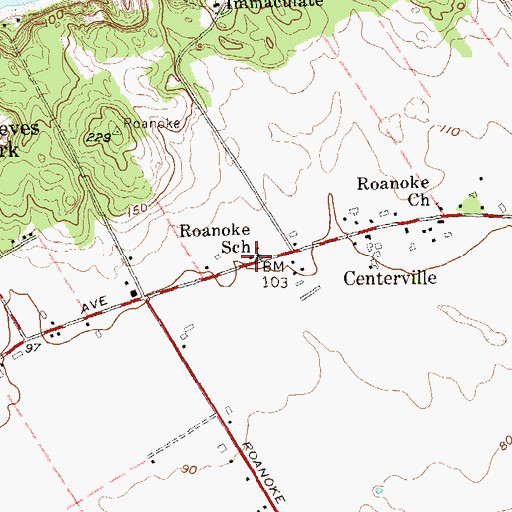 Topographic Map of Roanoke School (historical), NY