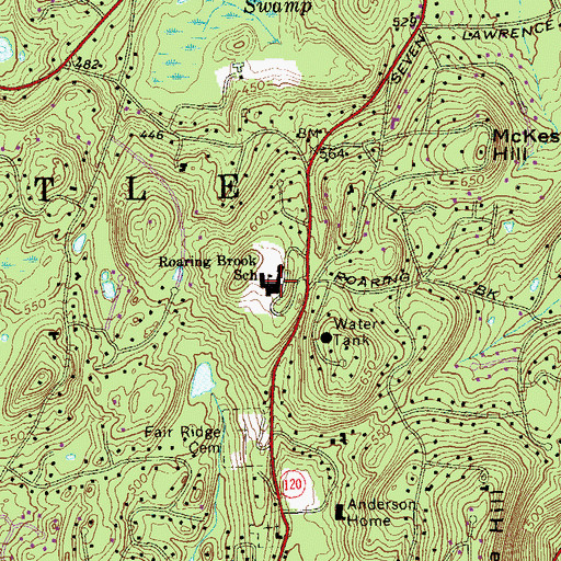 Topographic Map of Roaring Brook School, NY