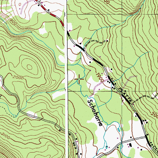 Topographic Map of Roaring Kill, NY