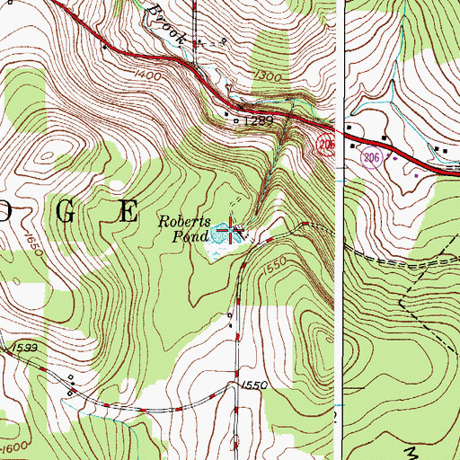Topographic Map of Roberts Pond, NY