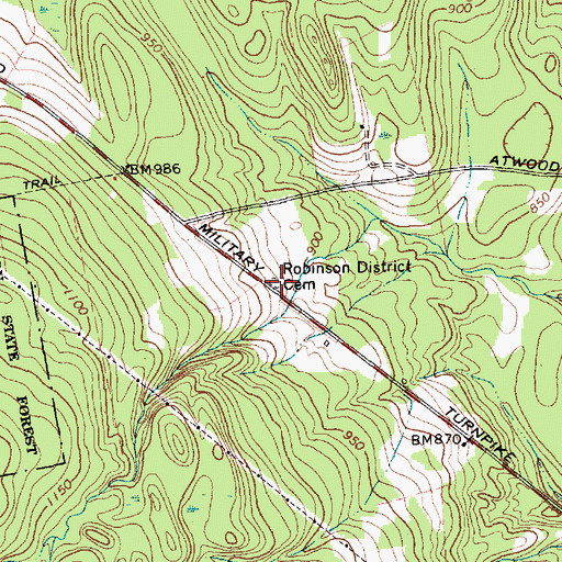 Topographic Map of Robinson District Cemetery, NY