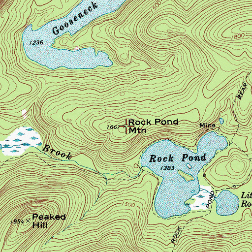 Topographic Map of Rock Pond Mountain, NY