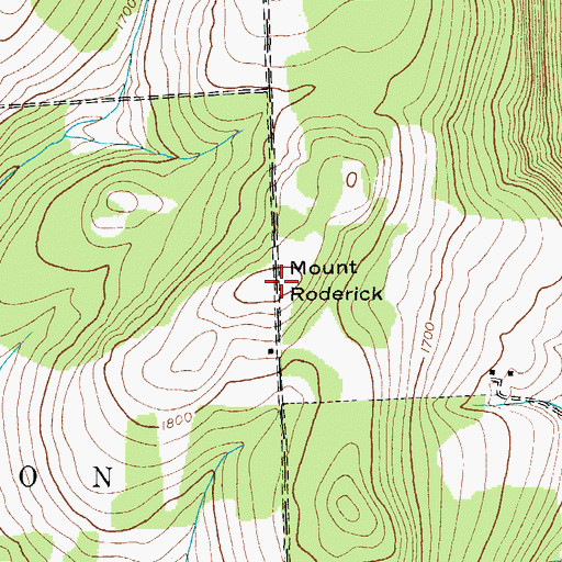 Topographic Map of Mount Roderick, NY