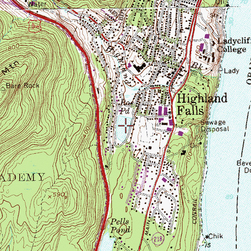 Topographic Map of Roe Pond, NY