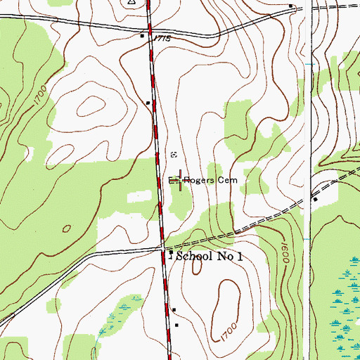 Topographic Map of Rogers Cemetery, NY