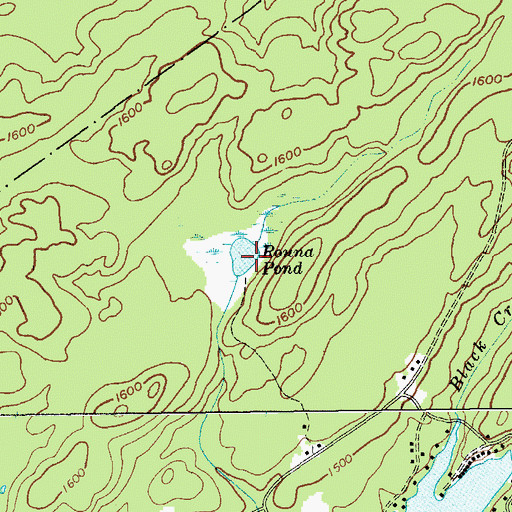 Topographic Map of Ronna Pond, NY