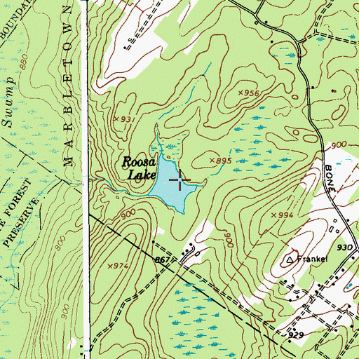Topographic Map of Roosa Lake, NY
