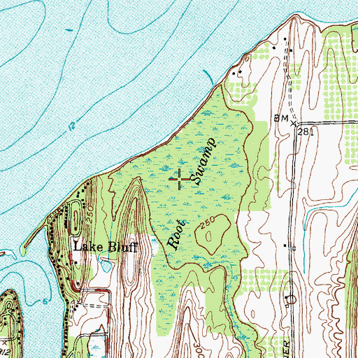 Topographic Map of Root Swamp, NY