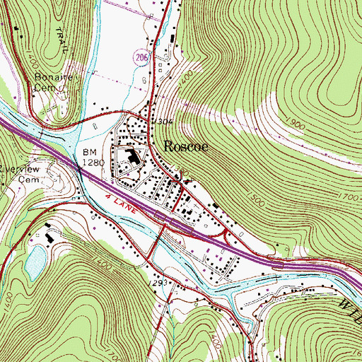 Topographic Map of Roscoe, NY
