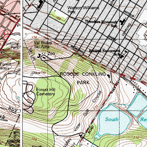 Topographic Map of Roscoe Conkling Park, NY