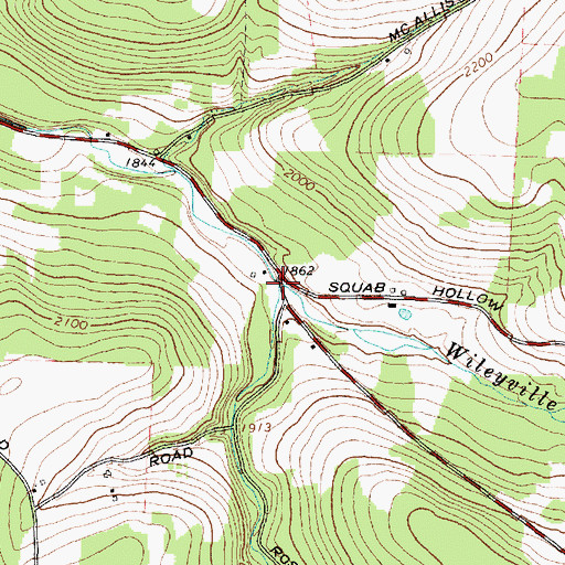 Topographic Map of Rose Brook, NY