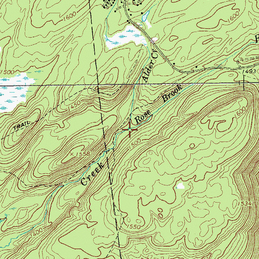 Topographic Map of Rose Brook, NY