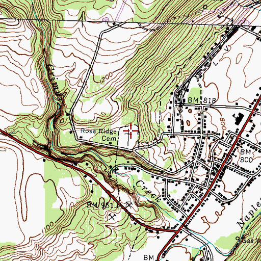 Topographic Map of Rose Ridge Cemetery, NY