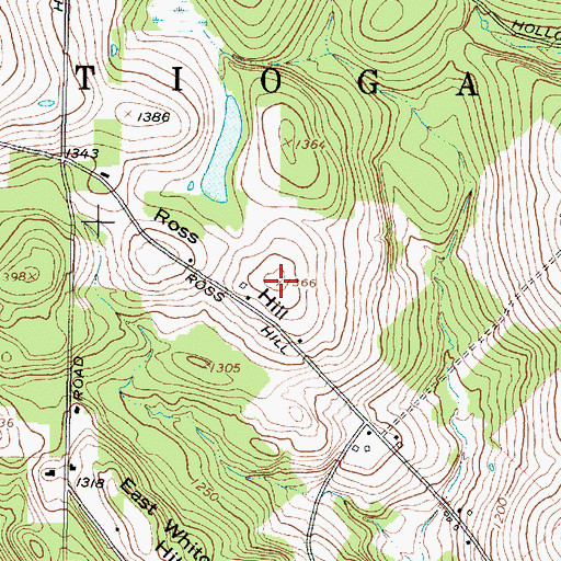 Topographic Map of Ross Hill, NY