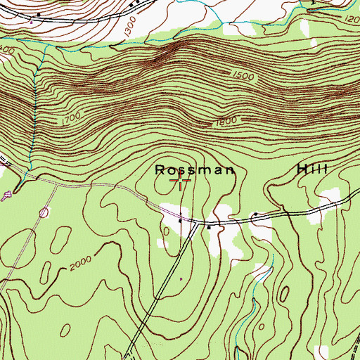 Topographic Map of Rossman Hill, NY