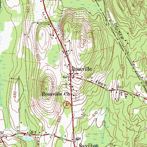 Topographic Map of Rossville, NY