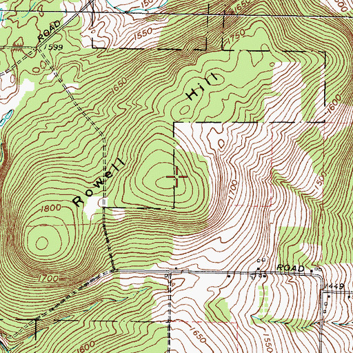 Topographic Map of Rowell Hill, NY