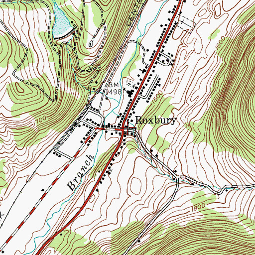 Topographic Map of Roxbury, NY