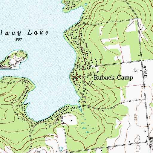 Topographic Map of Ruback Camp, NY