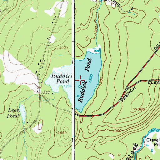 Topographic Map of Ruddick Pond, NY