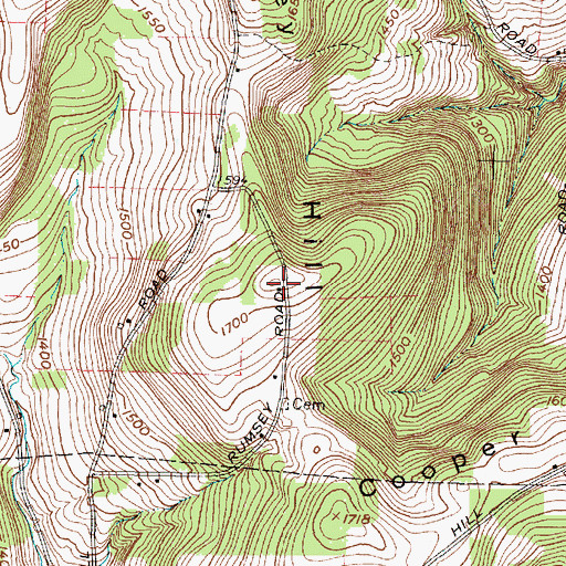 Topographic Map of Rumsey Hill, NY