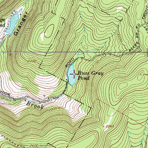 Topographic Map of Russ Gray Pond, NY