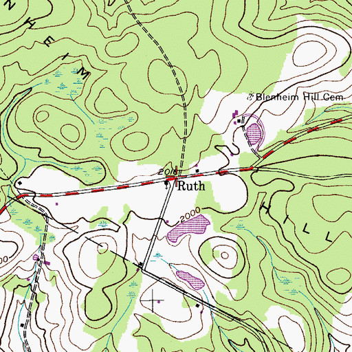 Topographic Map of Ruth, NY