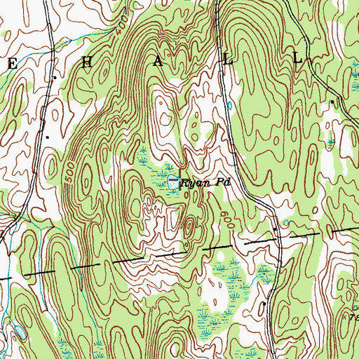 Topographic Map of Ryan Pond, NY