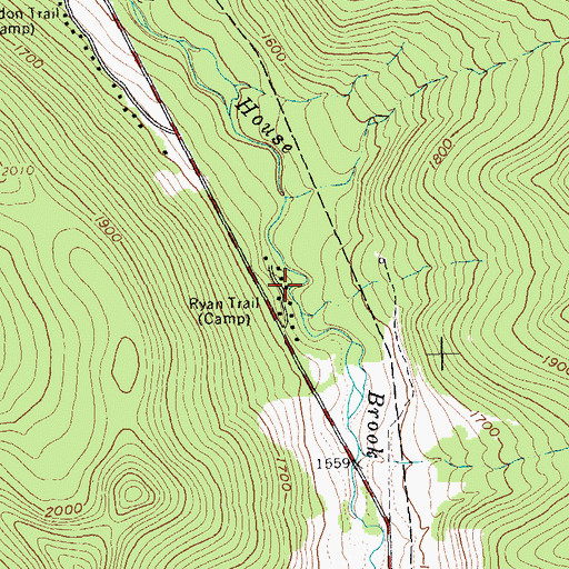 Topographic Map of Ryan Trail, NY