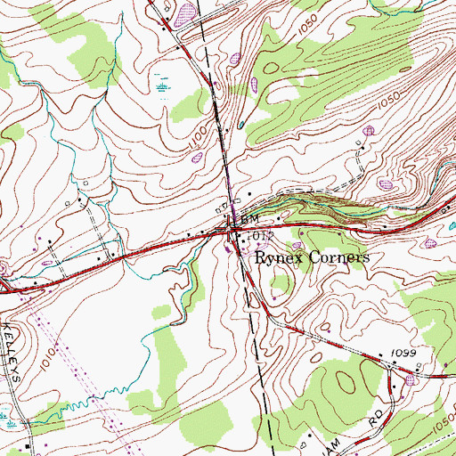 Topographic Map of Rynex Corners, NY