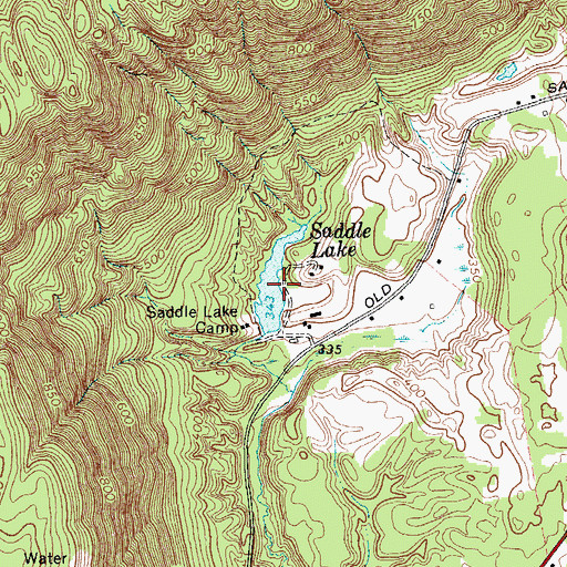 Topographic Map of Saddle Lake, NY