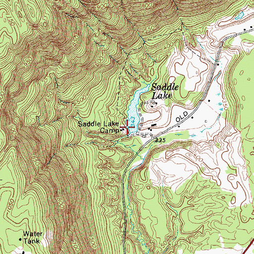 Topographic Map of Saddle Lake Camp, NY