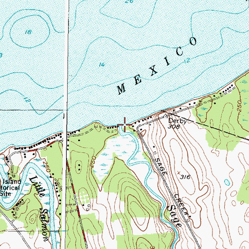 Topographic Map of Sage Creek, NY