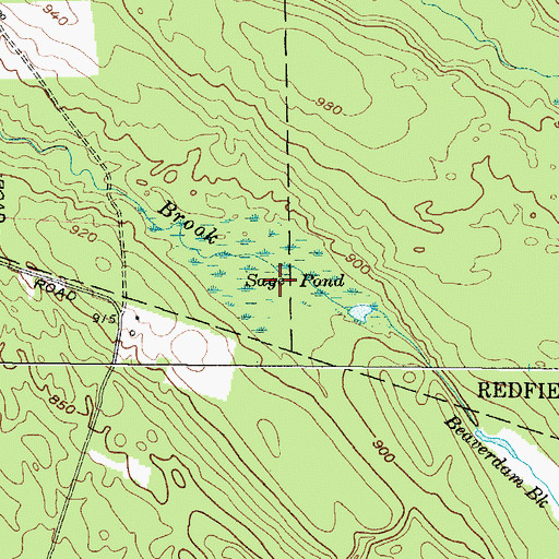 Topographic Map of Sage Pond, NY
