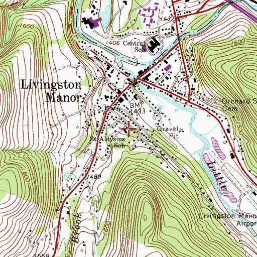 Topographic Map of Saint Aloysius School, NY