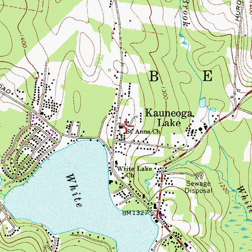 Topographic Map of Saint Anns Church, NY