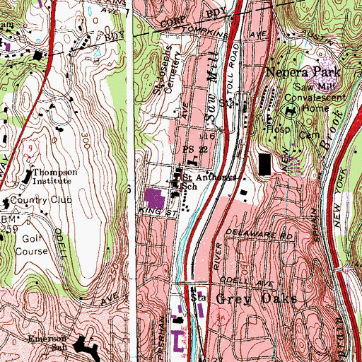 Topographic Map of Saint Anthonys School, NY