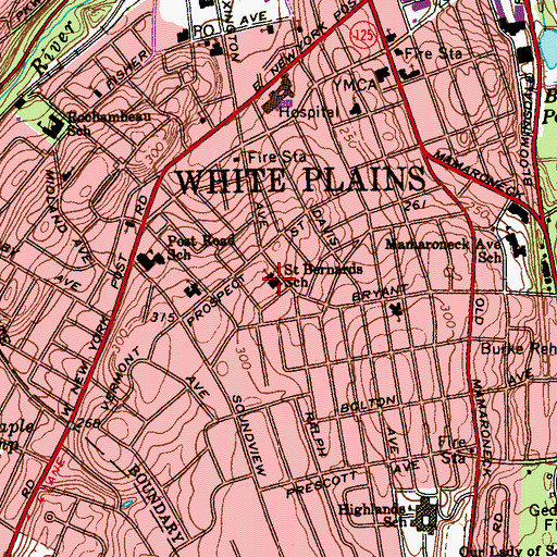 Topographic Map of Saint Bernards School, NY