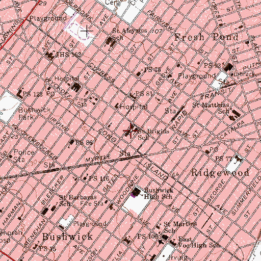 Topographic Map of Saint Brigids School, NY