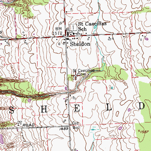 Topographic Map of Saint Cecilias South Cemetery, NY