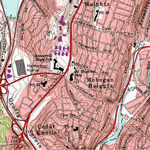 Topographic Map of Saint Eugenes School, NY