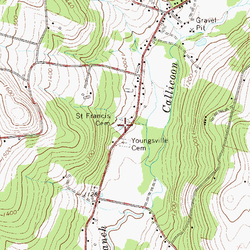 Topographic Map of Calvary Cemetery, NY