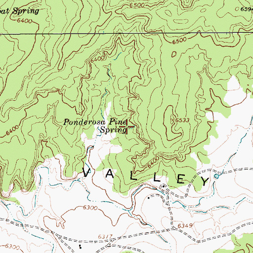Topographic Map of Ponderosa Pine Spring, AZ